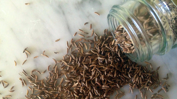Caraway • seeds