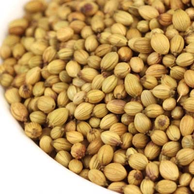 Coriander - Indian