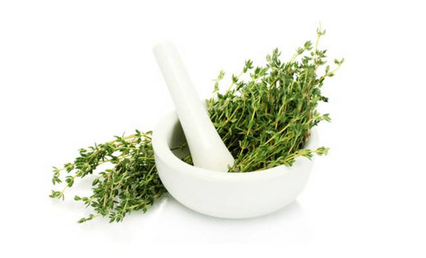 Thyme  (French)